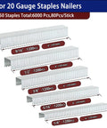 Heavy Duty T50 Staples In 20 Gauge Galvanized Steel With 6000 Pieces Mixed Size Set displayed in 6 rows with dimensions.