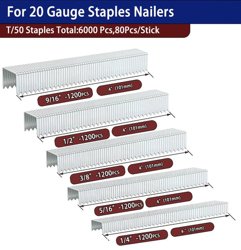 Heavy Duty T50 Staples In 20 Gauge Galvanized Steel With 6000 Pieces Mixed Size Set displayed in 6 rows with dimensions.