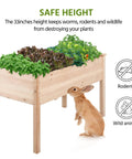 Front view of Two Piece Raised Garden Bed Set With Legged Planter Boxes, 48x24x30in Elevated Wooden Horticulture Beds, with rabbit