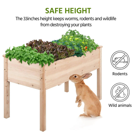 Front view of Two Piece Raised Garden Bed Set With Legged Planter Boxes, 48x24x30in Elevated Wooden Horticulture Beds, with rabbit