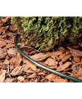 Pro Grade One-Half Inch Drip Irrigation Distribution Tubing Fifty Foot Roll In Black, installed around garden mulched plant