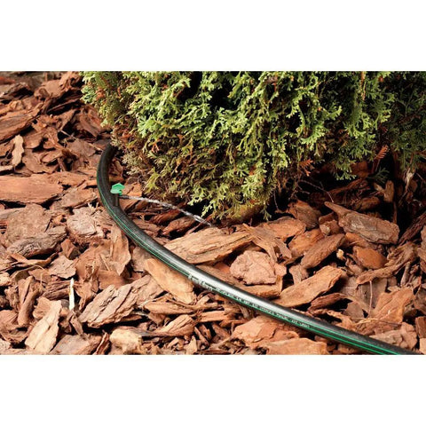 Pro Grade One-Half Inch Drip Irrigation Distribution Tubing Fifty Foot Roll In Black, installed around garden mulched plant