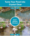 All In One Koi Pond Pump Kit For Outdoor Ponds 200-350 Gallons, before and after pond water clarity with filtration