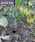 Heavy Duty Garden Auger Drill Bit For Planting With Deep Uniform Holes In Two Sizes 1.6 By 16.5 Inches creating hole in soil