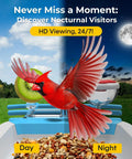 Solar Powered Bird Feeder With Camera For Backyard Watching 2K HD Live Streaming AI Species Recognition Motion Alerts
