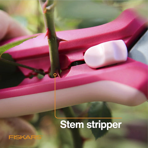 Close-up of Floral Pruning Shears For Light Pruning And Deadheading Pink Rose Petal Color Dope Garden Gift For Women