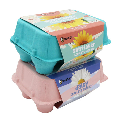 Two Pack Indoor Flower Grow Kit With Colorful Egg Cartons, Sunflower And Daisy Seeds, Eco Friendly Growing Medium