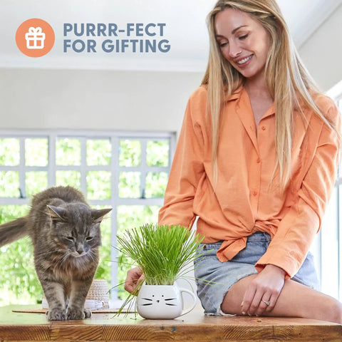 Woman sitting next to cat with Organic Cat Grass Kit For Indoor Cats With Seed Mix Soil And White Planter Hairball Control And Digestion Support Easy Grow Kit For Cats Perfect Gift For Cat Lovers on table.