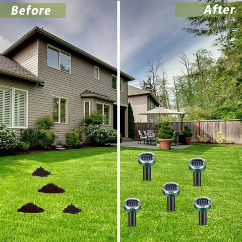 Before and after of using Solar Powered Mole Repellent Pack For Outdoor Yard And Lawn Keep Moles Gophers Voles And Snakes Away