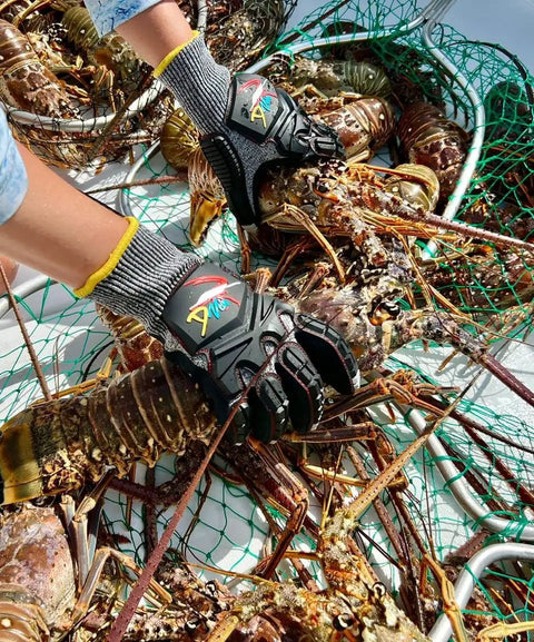Person using Lobster Diving Gloves With Kevlar Puncture Protection for spearfishing amidst lobsters and nets on a boat.