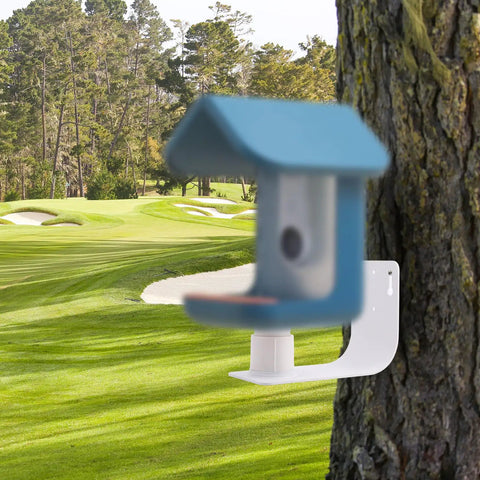 Bird Feeder Wall Mount Kit Waterproof Durable Steel Bracket For Outdoor Walls Fences Balconies And Pillars With Hardware Included Easy Install Includes Mounting Hardware And Screws For No Fuss Quick Setup