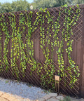Expandable Willow Garden Trellis Plant Support Lattice Fence Panel installed on a wooden fence supporting climbing plants.