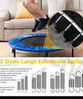 Image showing 36 Piece Extension Spring Set in 12 Sizes Carbon Steel Small Springs for furniture mechanisms and trampoline use.