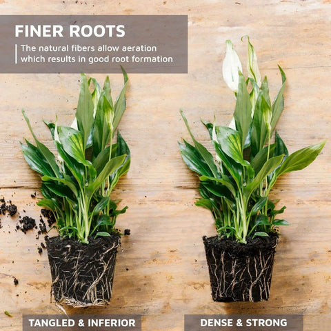 Comparison of two plant root systems showing effect of Coco Coir Organic Top Soil For Indoor And Outdoor Plants From A 4 Brick Pack That Expands To 10 Gallons, Delivers Excellent Aeration, Retains Water, And Suppresses Weeds For Healthier Lawn, Garden Or Potted Plants, with tangled inferior roots on left and dense strong roots on right.