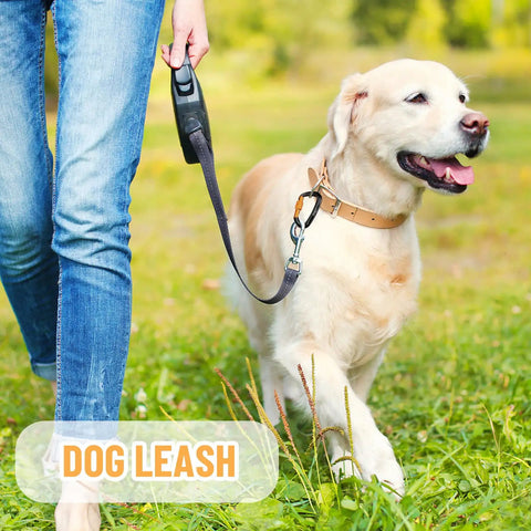 Person walking dog on leash with Heavy Duty Carabiner Clips 12kN Locking Aluminum Lightweight For Camping Hiking Hammock Outdoor Gym Pets