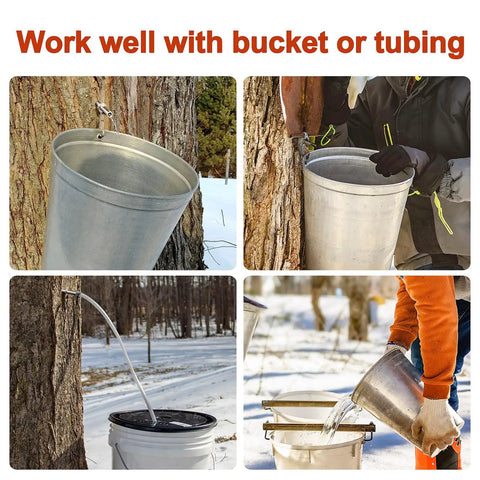Stainless Steel Maple Syrup Tapping Kit With Six Spiles And Hooks And Two Cleaning Brushes shown with buckets and 3/8 inch hose