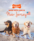 Power Chew Original Bone Dog Toys For Aggressive Chewers Durable Chicken And Bacon Flavor 2 Pack That Keeps Big Dogs Busy Satisfying Chew Sessions Every Day, with three dogs on a beach