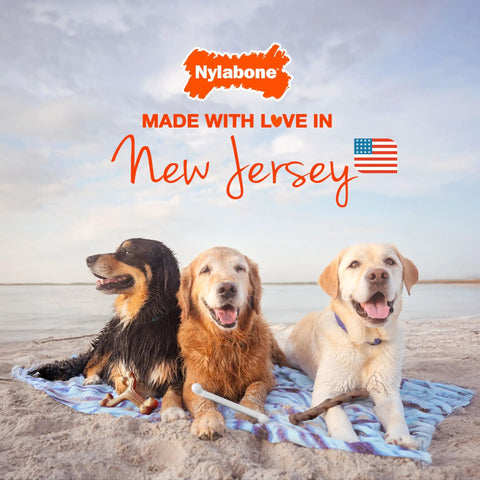 Power Chew Original Bone Dog Toys For Aggressive Chewers Durable Chicken And Bacon Flavor 2 Pack That Keeps Big Dogs Busy Satisfying Chew Sessions Every Day, with three dogs on a beach
