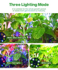 Indoor Seed Starter Trays With Grow Lights 72 Cell Kit Featuring Three Lighting Modes showcasing mint plants under different lights