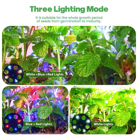 Indoor Seed Starter Trays With Grow Lights 72 Cell Kit Featuring Three Lighting Modes showcasing mint plants under different lights