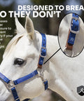 Leather Breakaway Strap For Horse Halter Pack Of 3 Repair Kit for safe use on white horse with blue halter