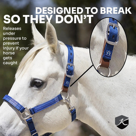 Leather Breakaway Strap For Horse Halter Pack Of 3 Repair Kit for safe use on white horse with blue halter