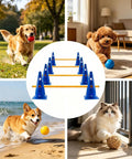 Low Height Dog Agility Course For Puppies With Hurdle Cones And Buckets Yellow Poles Outdoor Training Equipment Center Image