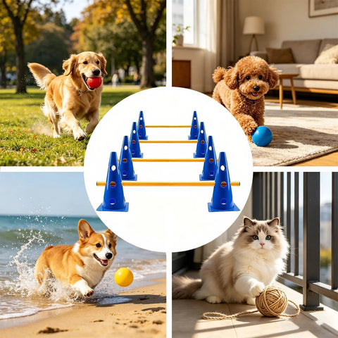 Low Height Dog Agility Course For Puppies With Hurdle Cones And Buckets Yellow Poles Outdoor Training Equipment Center Image