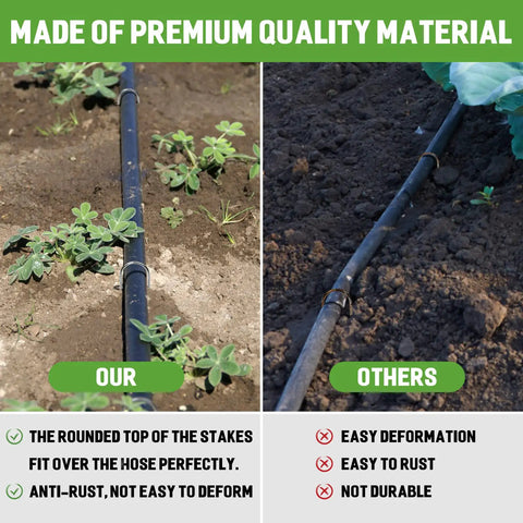 Comparison of drip irrigation lines using 4 Inch 40 Pack 11 Gauge U Shape Garden Stakes Set showing stability and durability differences.