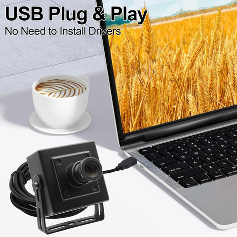 1080P 120fps High Speed USB Camera With 12MP Sensor and 12mm Lens next to a laptop displaying wheat field
