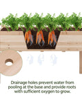 Two Piece Raised Garden Bed Set With Legged Planter Boxes, 48x24x30in Elevated Wooden Horticulture Beds For Backyard, Patio Or Balcony, Durable Fir Wood, Supports Up To 220.5 Lbs Soil, 15 Inch Soil Depth, showing carrots growing with visible drainage holes.