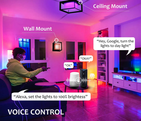 11 Inch WiFi Smart LED Flush Mount Light For Indoor And Outdoor Use 20W RGBCW Color Changing 1400 Lumens in living room