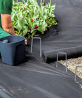 100 Pack 6 Inch Garden Stakes Galvanized Landscape Staples For Weed Barrier Fabric Heavy Duty Sod Pins Ground Sheets