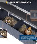 Interior view of sturdy wooden chicken coop with two nesting boxes and lockable doors weatherproof roof dual purpose rabbit and duck hutch ideal backyard hen house for garden yard or small farm easy assembly showing eggs and straw