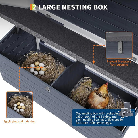 Interior view of sturdy wooden chicken coop with two nesting boxes and lockable doors weatherproof roof dual purpose rabbit and duck hutch ideal backyard hen house for garden yard or small farm easy assembly showing eggs and straw
