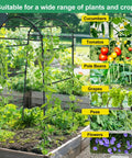 Heavy Duty Garden Arch Trellis For Climbing Plants, 6.7Ft Tall Steel Arbor with plants and crop images