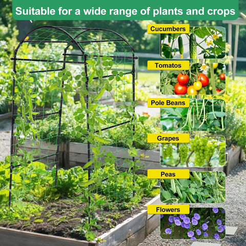 Heavy Duty Garden Arch Trellis For Climbing Plants, 6.7Ft Tall Steel Arbor with plants and crop images