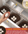 Inside view of Large Outdoor Chicken Coop With Run For Backyard Poultry Nesting Boxes And Perches With Removable Tray showing eggs