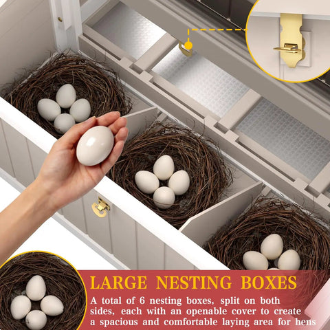Inside view of Large Outdoor Chicken Coop With Run For Backyard Poultry Nesting Boxes And Perches With Removable Tray showing eggs