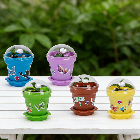 Dope Color Mix Nursery Pots With Humidity Domes And Trays, 25 Pack Seed Starter Pots For Seedlings And Small Plants, on table