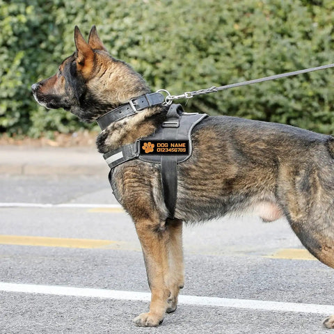 Custom Name Dog Patch 2 Pack Iron On Hook Loop Applique For Harness Vest Collar Accessories on a dog harness during a walk.