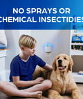 Plug And Play Flying Insect Trap Kicks Out Gnats Fruit Flies And Pesky Moths Zero Chemical Indoor Bug Catcher near child and dog.