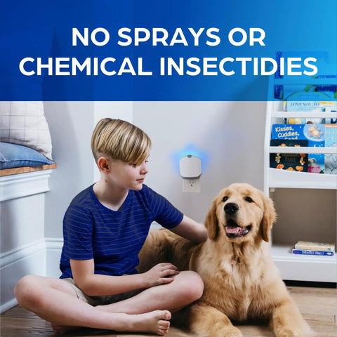 Plug And Play Flying Insect Trap Kicks Out Gnats Fruit Flies And Pesky Moths Zero Chemical Indoor Bug Catcher near child and dog.