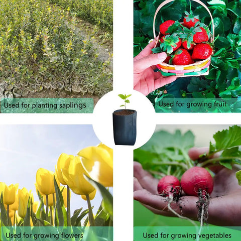 Image of plant applications: growing saplings, fruit, flowers, vegetables with 200 Pack Breathable Plant Grow Bags 5.5 By 6.3 Inch Biodegradable Nonwoven Seedling Pots For Seed Starting Indoor Outdoor Vegetables Herbs Flowers Easy Transplant Space Saving Black centered.