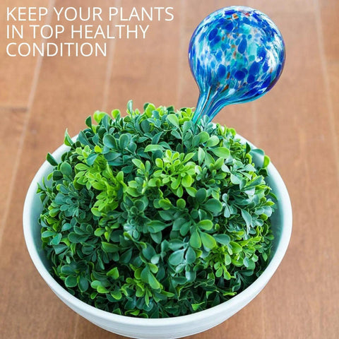 Glass Plant Watering Globes Set 2 Large 3 Small Self Watering Bulbs Spikes Easy Planter Insertion Indoor Outdoor Use Includes Free Soil Moisture Meter pH Meter Healthy No Fuss Plant Care blue glass globe in white planter