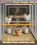 Large 93.6 Inch Backyard Chicken Coop With Run For 6 To 8 Hens showing interior with 3 roosting bars and chickens perched inside