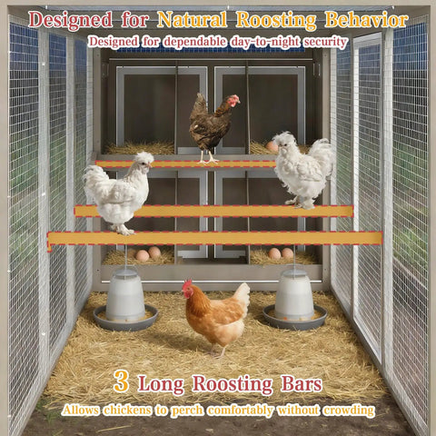 Large 93.6 Inch Backyard Chicken Coop With Run For 6 To 8 Hens showing interior with 3 roosting bars and chickens perched inside