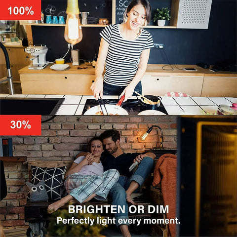 Vintage Filament LED Smart Edison Bulbs 60 Watt Equivalent, Warm 2000K Edison Style ST19 installed in kitchen and living room