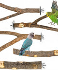 Straight Up Natural Wood Bird Perch Stand Set Five Piece Untreated Branches For Bird Cages with budgie and lovebird.
