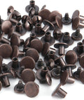 Top Shelf Heavy Duty Chicago Screws And Screw Posts Featuring Sleek Copper Finish And Rock Solid Threads 100 Complete Sets assorted copper screws for leather crafting projects.